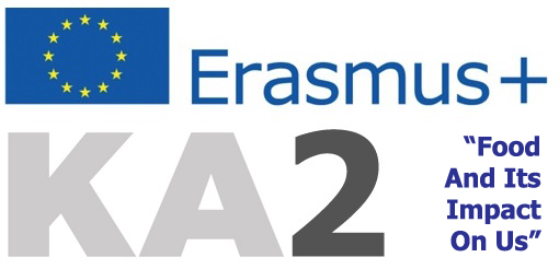 Erasmus+ KA2 Yenilik ve İyi Uygulamaların Değişimi Projeleri, Fethiye Esnaf ve Sanatkârlar Odası Mesleki Eğitim Merkezi, Spojená škola Kollárova 17, Sečovce